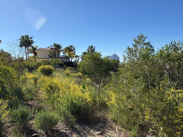 Area Edificabile in vendita in Cometa - Carrió, Calpe / Calp - 310.000 € (Rif: 9809891)