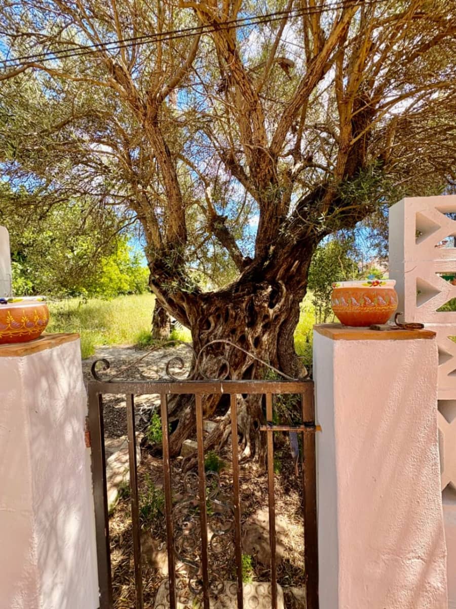 4 soveværelse Rækkehus til salg i Denia - € 340.000 (Ref: 9838740)