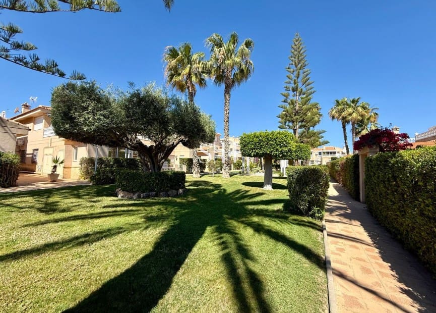 2 quarto Penthouse para venda em Playa Flamenca com piscina - 319 900 € (Ref: 10026605)