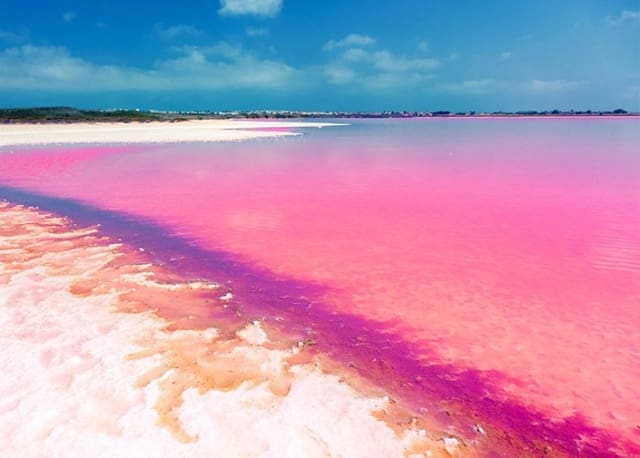 1 bedroom Apartment for sale in El Chaparral, Torrevieja with pool - € 251,000 (Ref: 8927940)