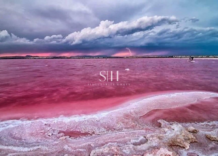 2 chambre Appartement à vendre à San Miguel de Salinas avec piscine - 245 000 € (Ref: 9301423)