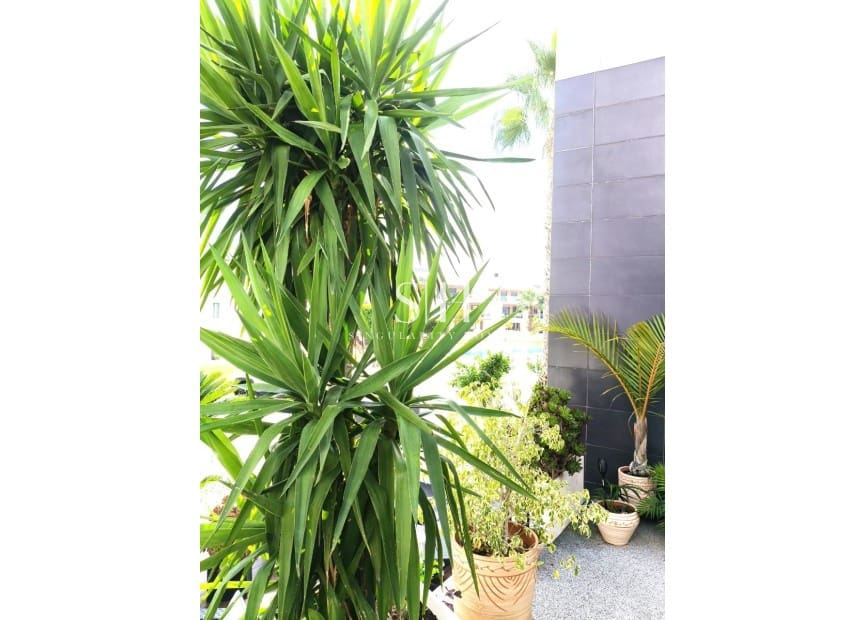 3 Zimmer Villa zu verkaufen in Villamartin - 349.000 € (Ref: 9363113)