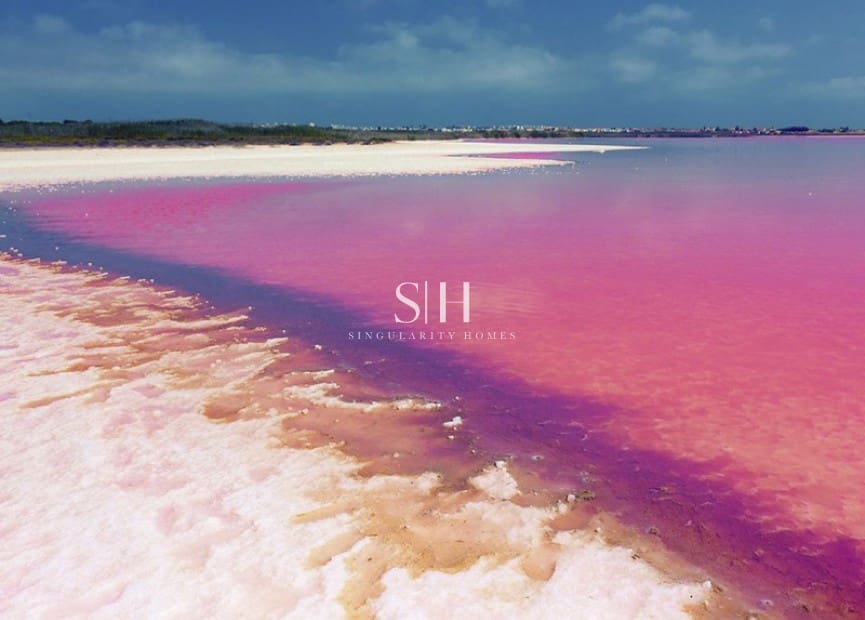 2 sypialnia Bungalow na sprzedaż w Los Balcones z basenem garażem - 272 000 € (Ref: 9665236)