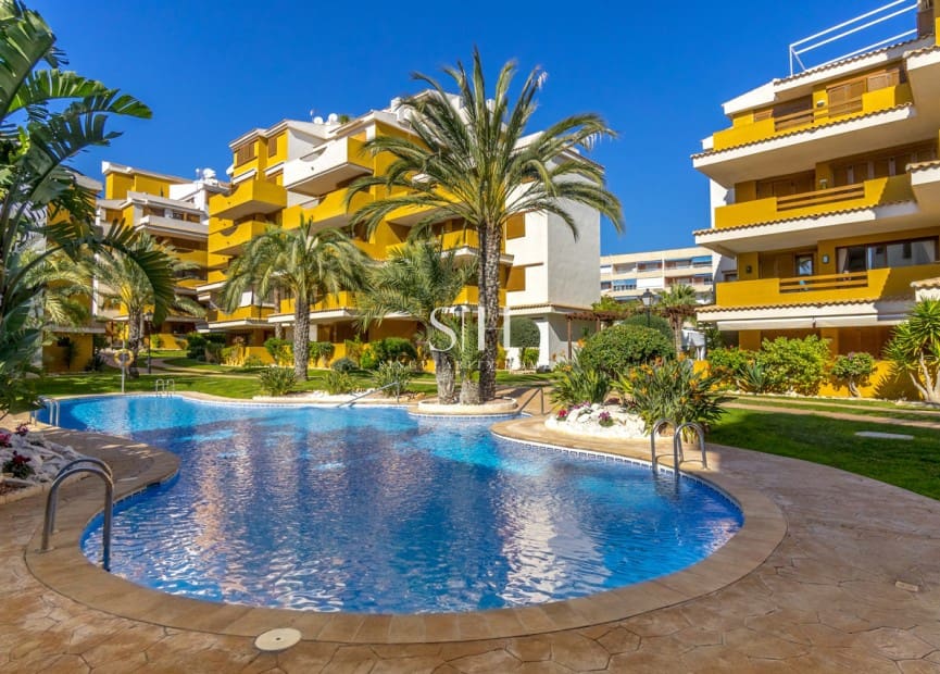 2 quarto Apartamento de Praia para venda em Punta Prima com piscina - 345 000 € (Ref: 9920004)