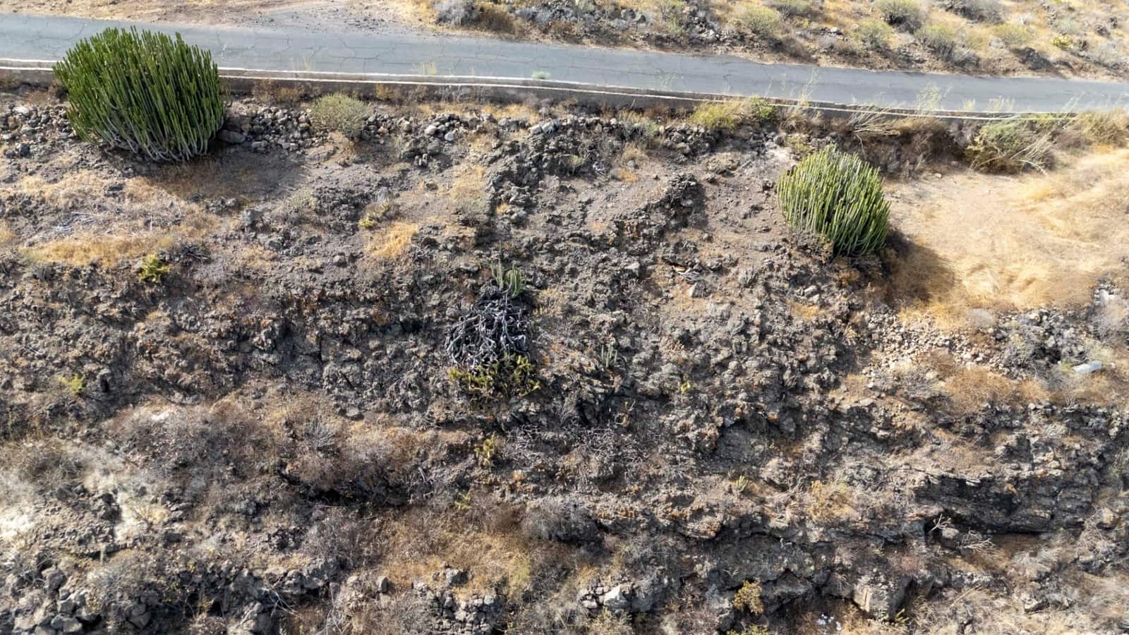 Grunde uden byggetilladelser til salg i Adeje - € 89.000 (Ref: 9264549)