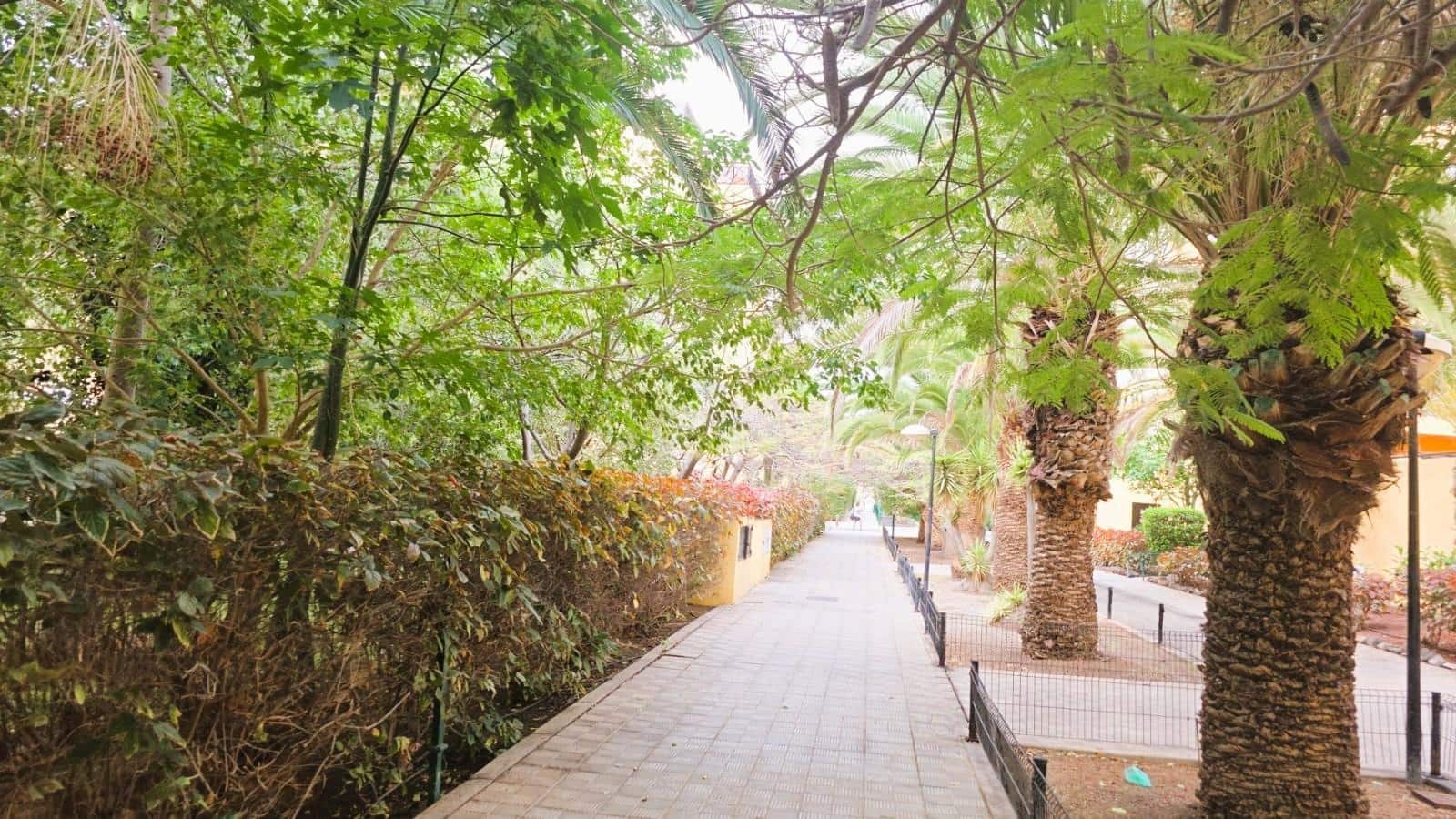 2 sypialnia Apartament na sprzedaż w Arona z basenem garażem - 272 000 € (Ref: 9565259)