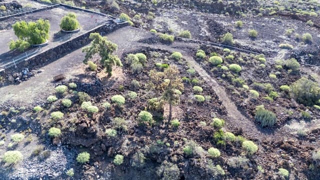 Mark till salu i Chio, Guía de Isora - 135 000 € (Ref: 9648162)