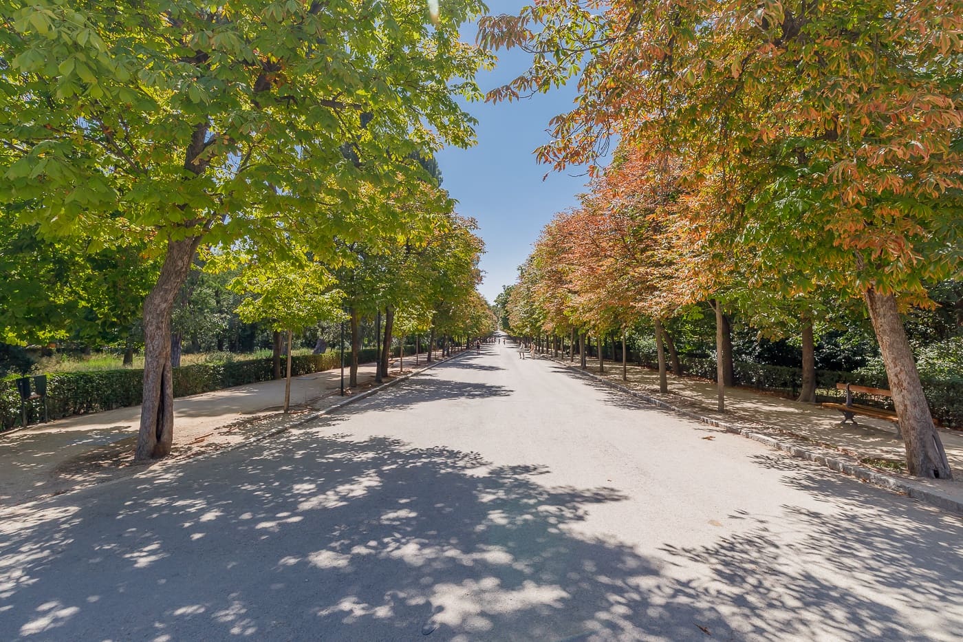 3 camera da letto Appartamento in vendita in Madrid citta - 1.550.000 € (Rif: 9462865)