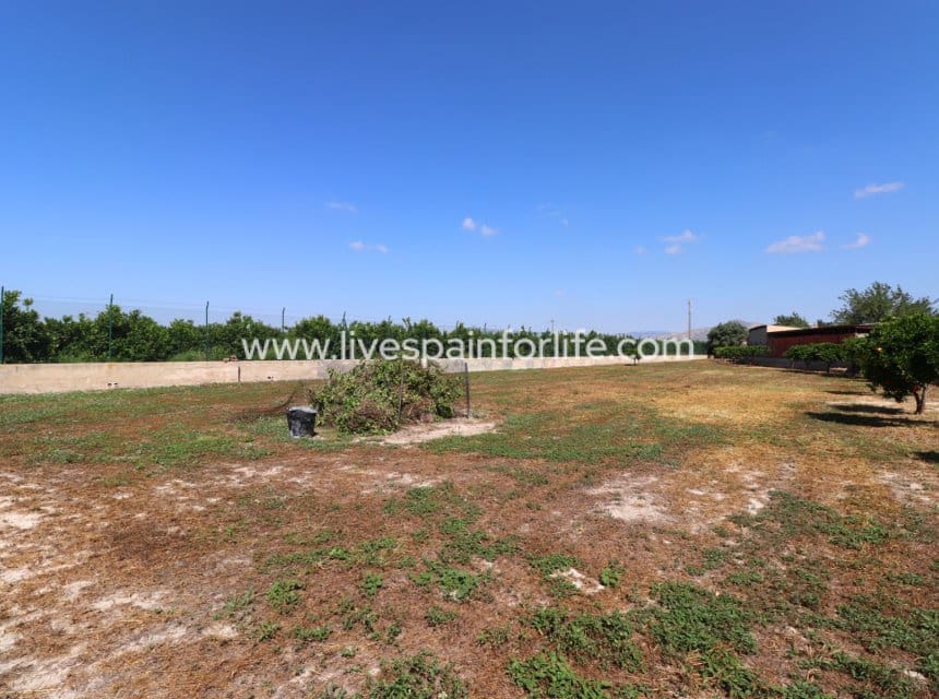 4 chambre Finca/Maison de Campagne à vendre à Benferri avec piscine garage - 350 000 € (Ref: 10007502)