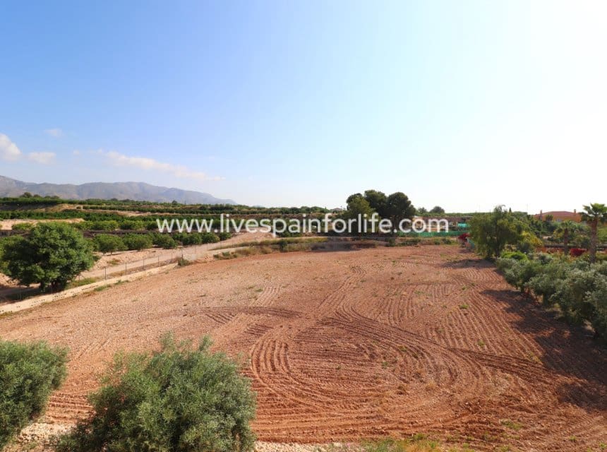 3 bedroom Finca/Country House for sale in Albatera with pool garage - € 325,000 (Ref: 10007503)