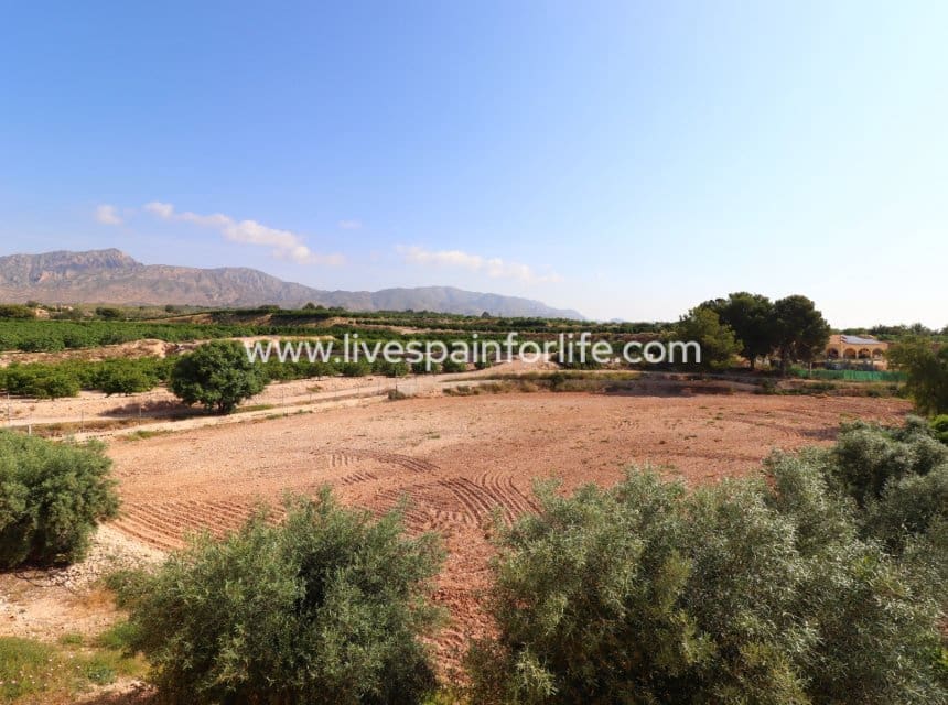 3 bedroom Finca/Country House for sale in Albatera with pool garage - € 325,000 (Ref: 10007503)