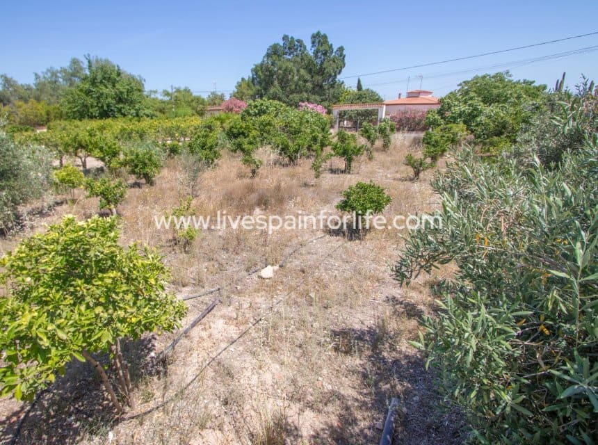 3 slaapkamer Finca/Landhuis te koop in Albatera met zwembad garage - € 349.000 (Ref: 10007867)