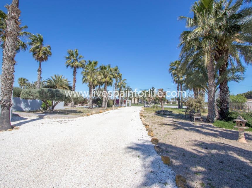 4 sovrum Finca/Hus på landet till salu i Catral med pool garage - 549 000 € (Ref: 10035952)