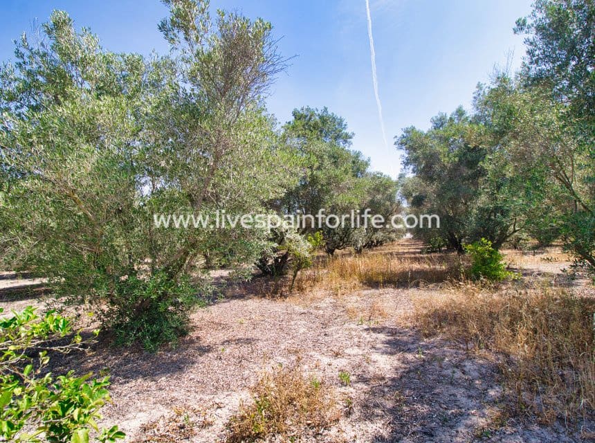 3 camera da letto Finca/Casa di Campagna in vendita in Dolores con piscina garage - 495.000 € (Rif: 10036209)