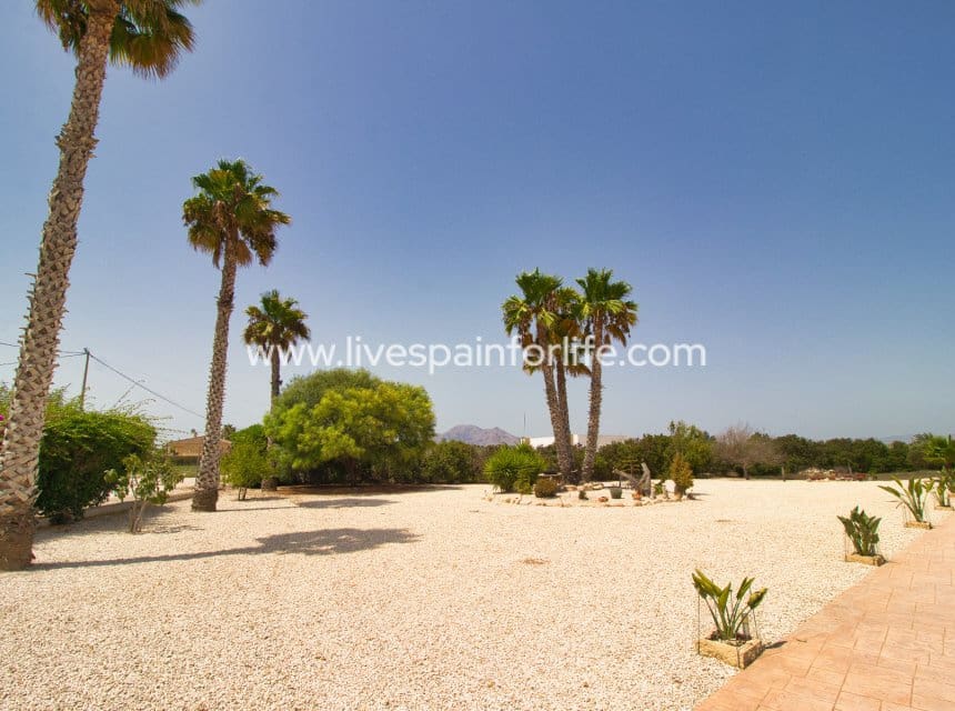 5 Zimmer Finca/Landgut zu verkaufen in Catral mit Pool - 399.000 € (Ref: 10039001)