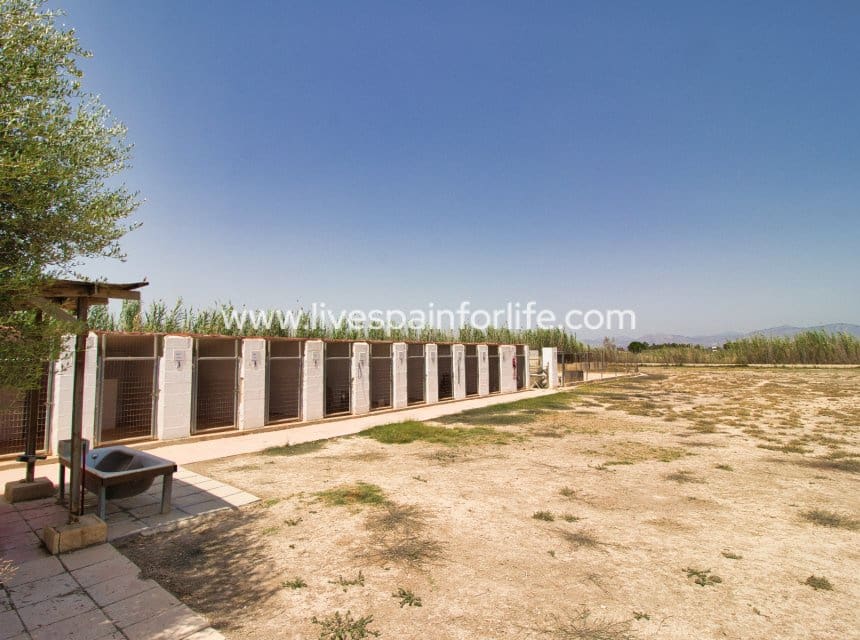5 Zimmer Finca/Landgut zu verkaufen in Catral mit Pool - 399.000 € (Ref: 10039001)