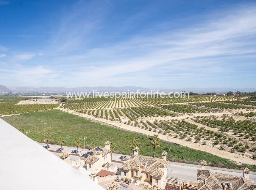 3 camera da letto Villa in vendita in Algorfa con piscina garage - 473.000 € (Rif: 10039128)