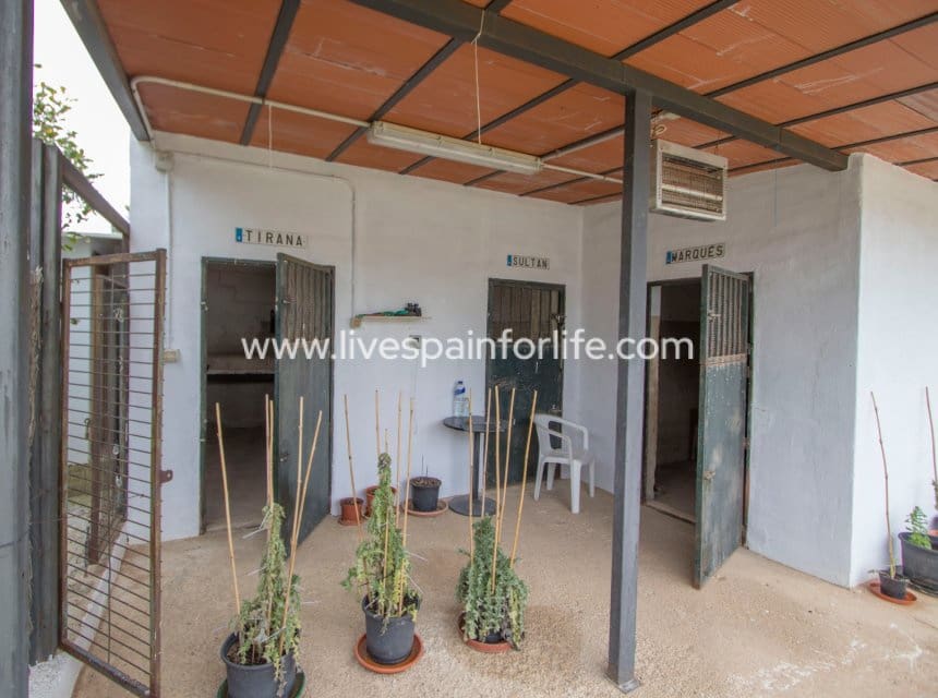 5 slaapkamer Bedrijf te koop in Albatera met zwembad garage - € 320.000 (Ref: 10041801)