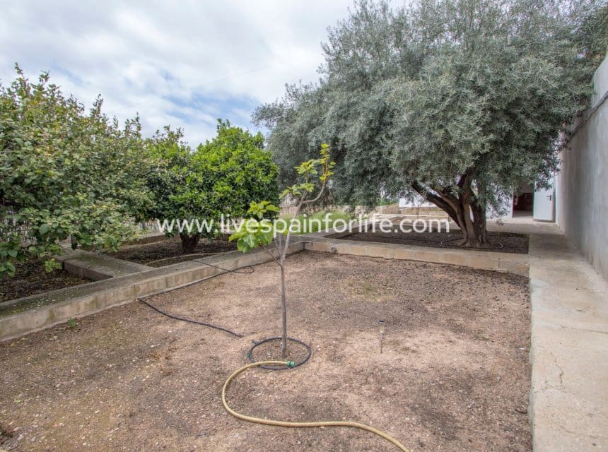 5 slaapkamer Bedrijf te koop in Albatera met zwembad garage - € 320.000 (Ref: 10041801)