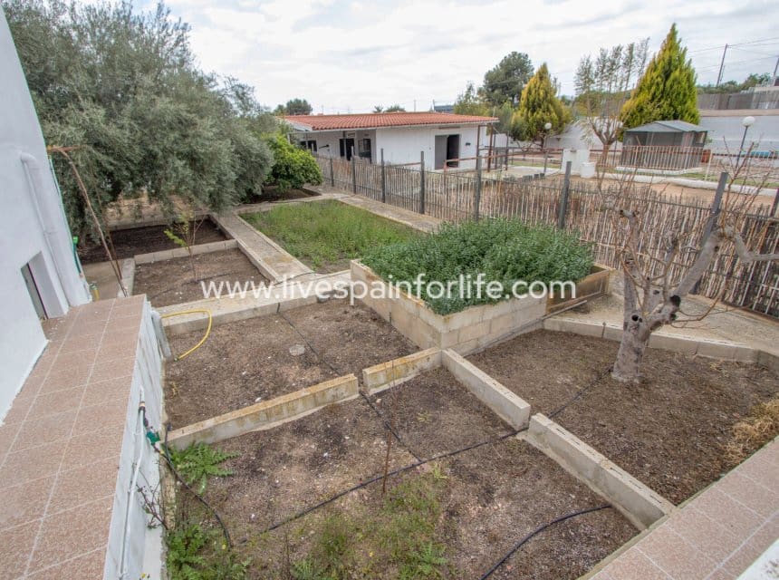 5 slaapkamer Bedrijf te koop in Albatera met zwembad garage - € 320.000 (Ref: 10041801)