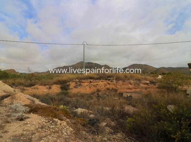 4 bedroom Finca/Country House for sale in Barinas, Abanilla with garage - € 350,000 (Ref: 10041809)