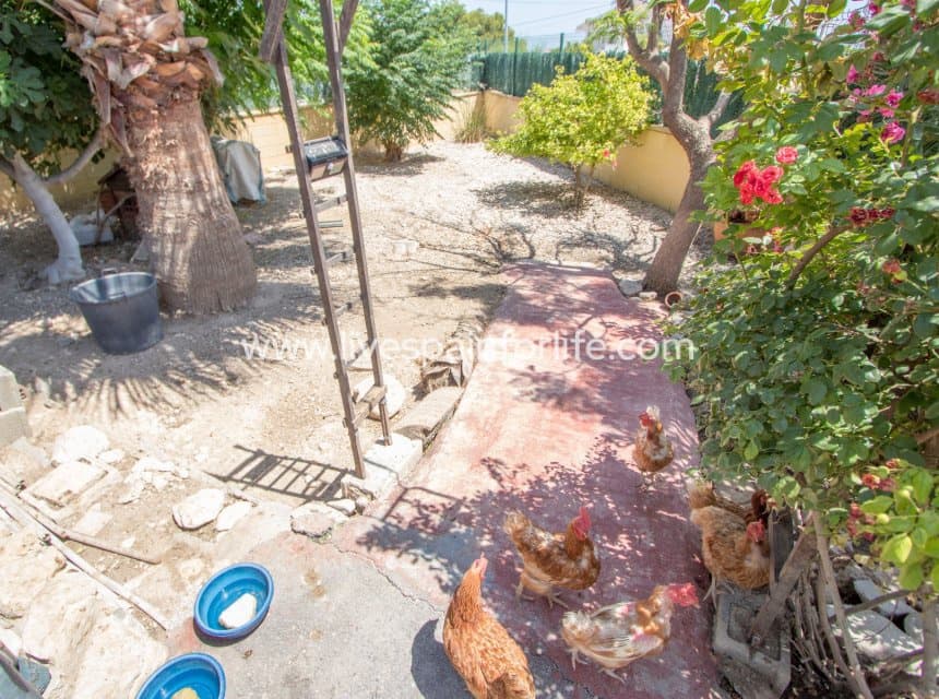 4 camera da letto Finca/Casa di Campagna in vendita in Albatera con piscina garage - 415.000 € (Rif: 10041814)