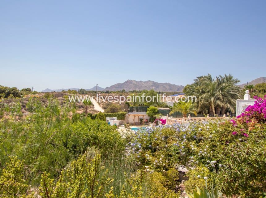 4 camera da letto Finca/Casa di Campagna in vendita in Albatera con piscina garage - 415.000 € (Rif: 10041814)