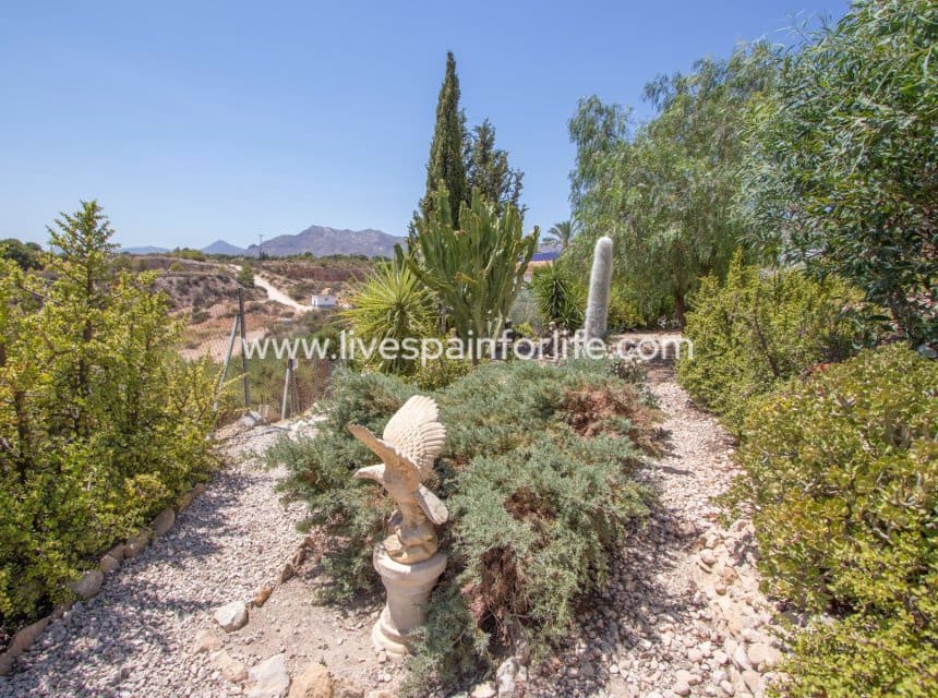 4 camera da letto Finca/Casa di Campagna in vendita in Albatera con piscina garage - 415.000 € (Rif: 10041814)