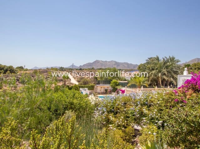 4 camera da letto Finca/Casa di Campagna in vendita in Albatera con piscina garage - 415.000 € (Rif: 10041814)