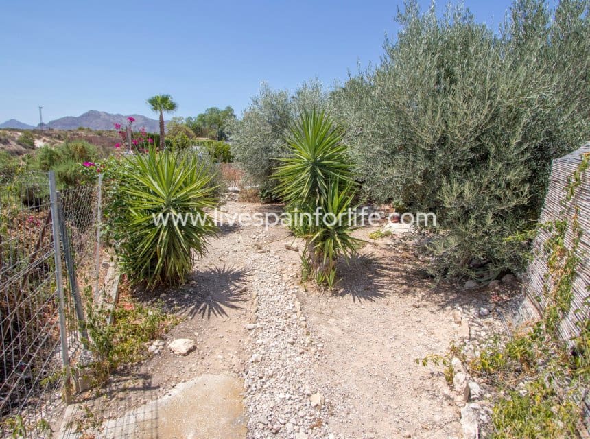 4 camera da letto Finca/Casa di Campagna in vendita in Albatera con piscina garage - 415.000 € (Rif: 10041814)