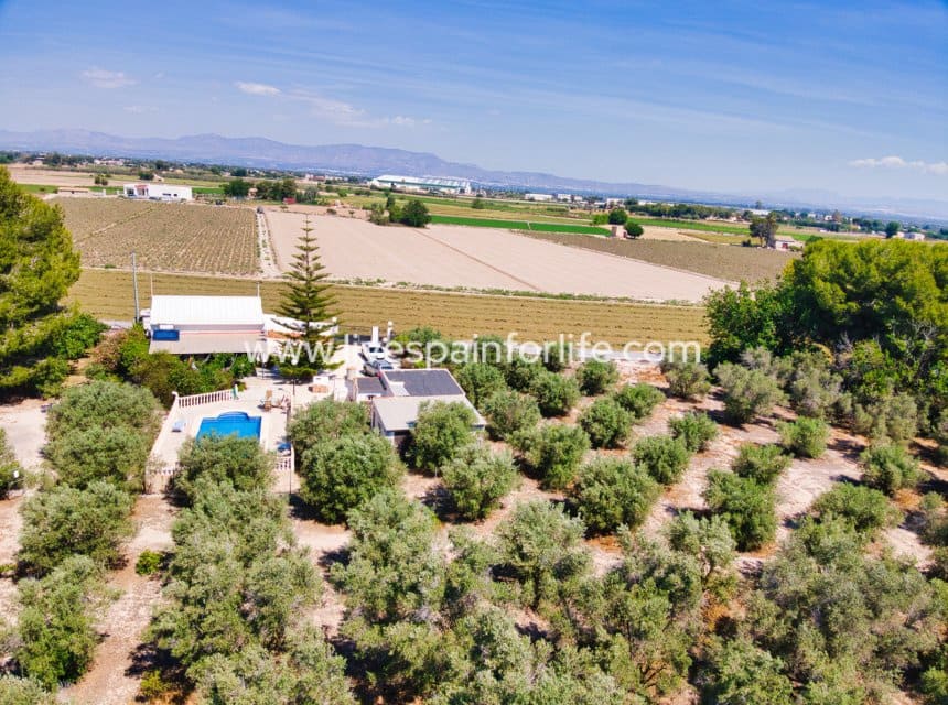 Finca/Casa Rural de 3 habitaciones en Dolores en venta con piscina garaje - 495.000 € (Ref: 10057333)