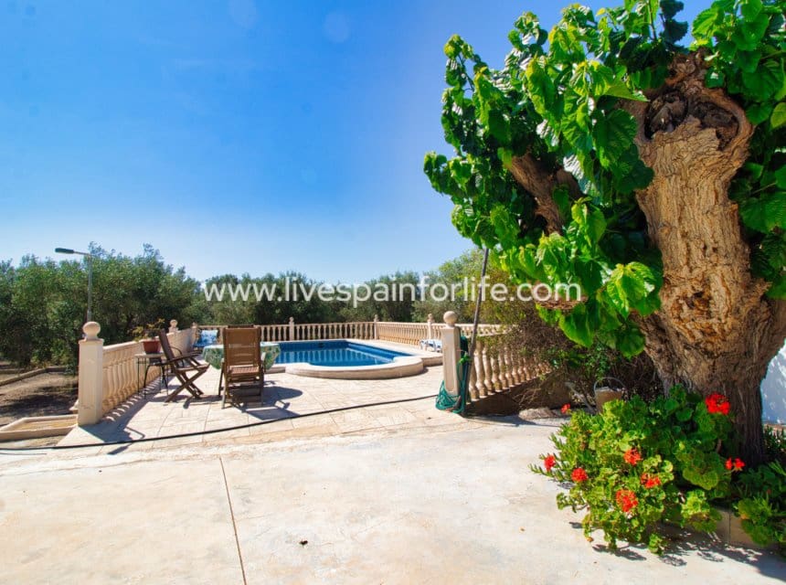 Finca/Casa Rural de 3 habitaciones en Dolores en venta con piscina garaje - 495.000 € (Ref: 10057333)