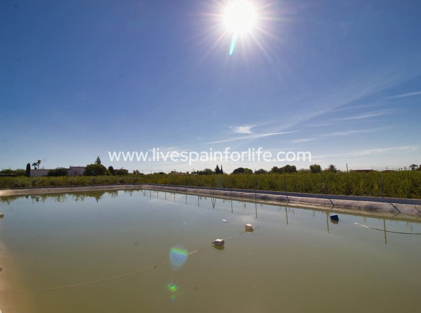 Finca/Casa Rural de 4 habitaciones en Crevillente / Crevillent en venta con piscina garaje - 495.000 € (Ref: 10057335)