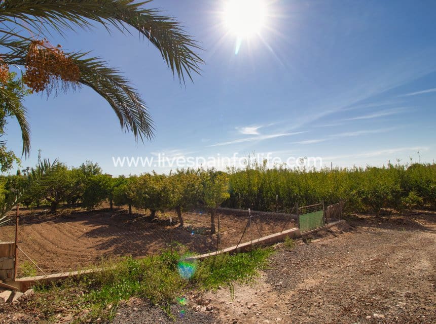 Finca/Casa Rural de 4 habitaciones en Crevillente / Crevillent en venta con piscina garaje - 495.000 € (Ref: 10057335)