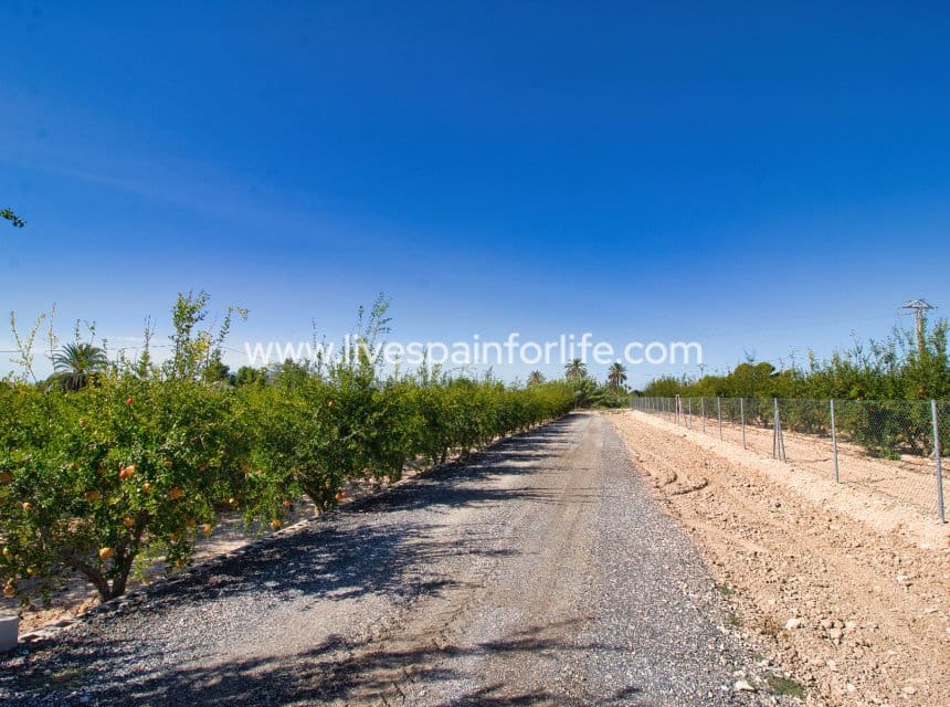 Finca/Casa Rural de 4 habitaciones en Crevillente / Crevillent en venta con piscina garaje - 495.000 € (Ref: 10057335)