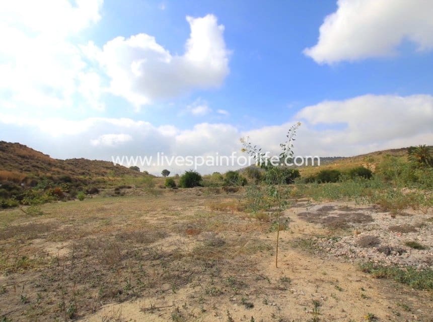 4 bedroom Finca/Country House for sale in Bigastro with pool garage - € 215,000 (Ref: 10057337)