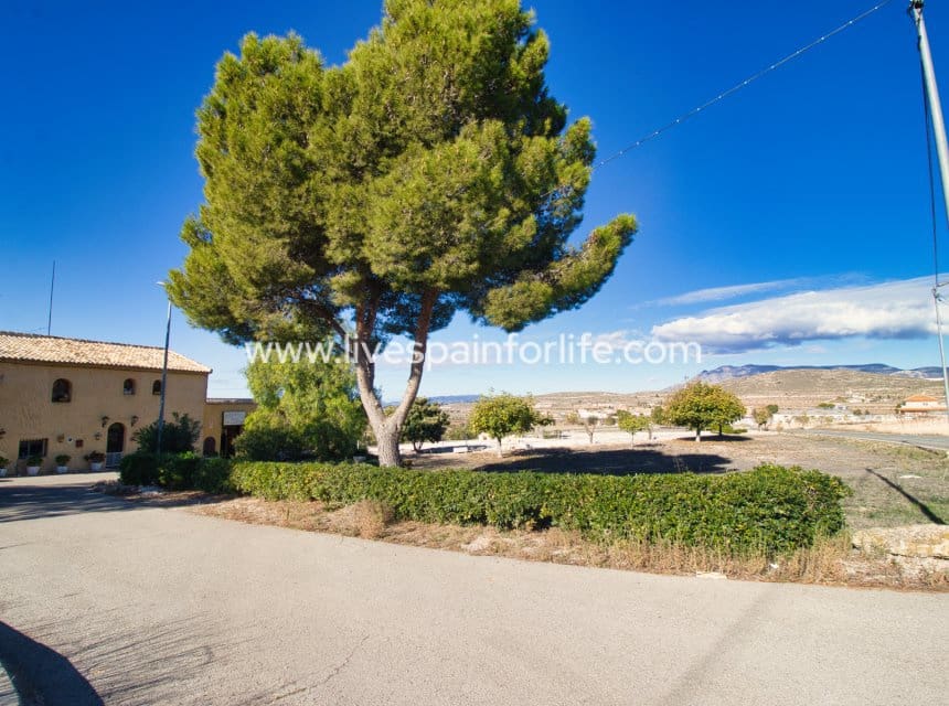 5 sypialnia Finka/Dom wiejski na sprzedaż w Abanilla z basenem garażem - 395 000 € (Ref: 10060514)