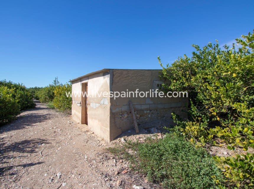 4 slaapkamer Finca/Landhuis te koop in Albatera met zwembad garage - € 425.000 (Ref: 10060571)