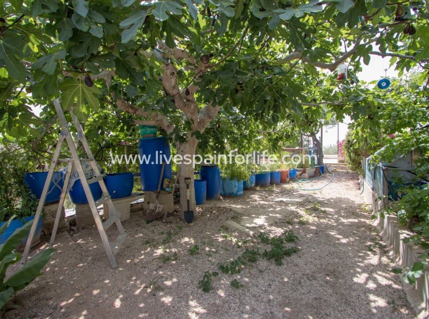 3 slaapkamer Finca/Landhuis te koop in Albatera met zwembad garage - € 260.000 (Ref: 10060576)