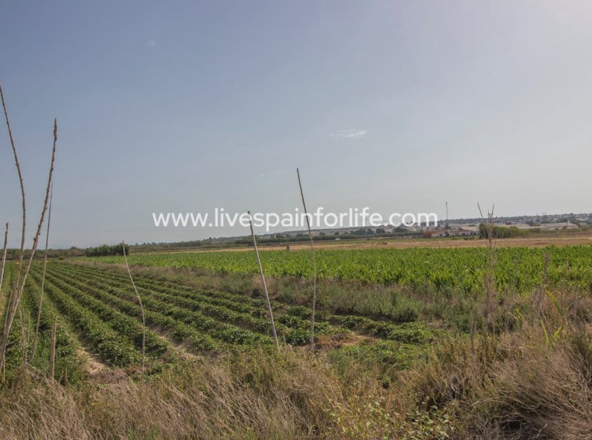 Terreno para Construção para venda em San Fulgencio - 65 000 € (Ref: 10060581)