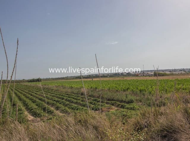 Terreno para Construção para venda em San Fulgencio - 65 000 € (Ref: 10060581)