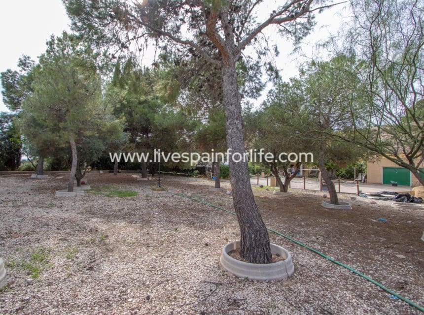 3 sovrum Finca/Hus på landet till salu i Crevillente / Crevillent med pool garage - 290 000 € (Ref: 10060582)