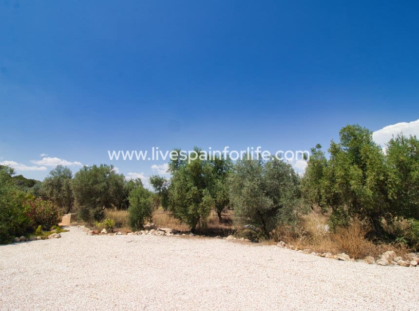 5 sypialnia Finka/Dom wiejski na sprzedaż w Miasto Alicante / Alacant z basenem garażem - 395 000 € (Ref: 10060585)