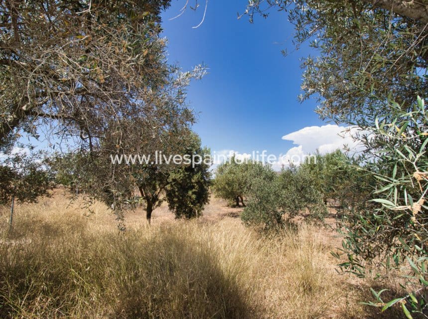 5 sypialnia Finka/Dom wiejski na sprzedaż w Miasto Alicante / Alacant z basenem garażem - 395 000 € (Ref: 10060585)