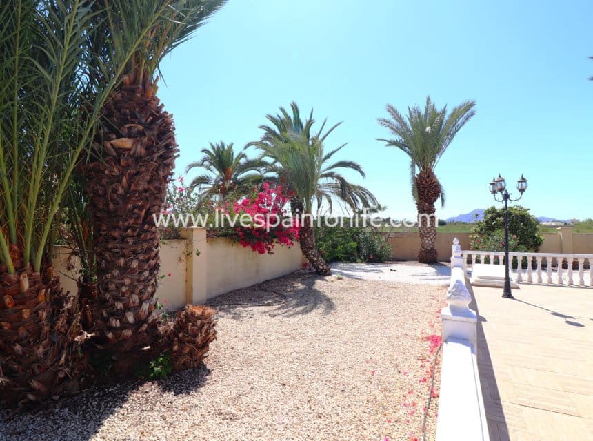3 sypialnia Finka/Dom wiejski na sprzedaż w Miasto Alicante / Alacant z basenem garażem - 350 000 € (Ref: 10062606)