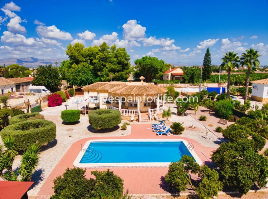 3 slaapkamer Finca/Landhuis te koop in Catral met zwembad - € 389.000 (Ref: 10076785)