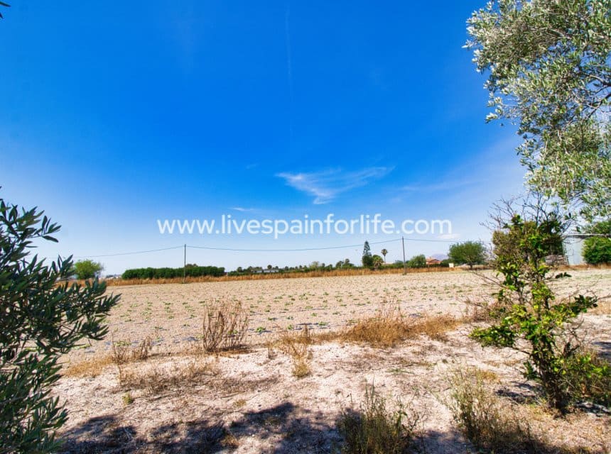 3 chambre Finca/Maison de Campagne à vendre à Alicante ville avec piscine garage - 495 000 € (Ref: 10076786)
