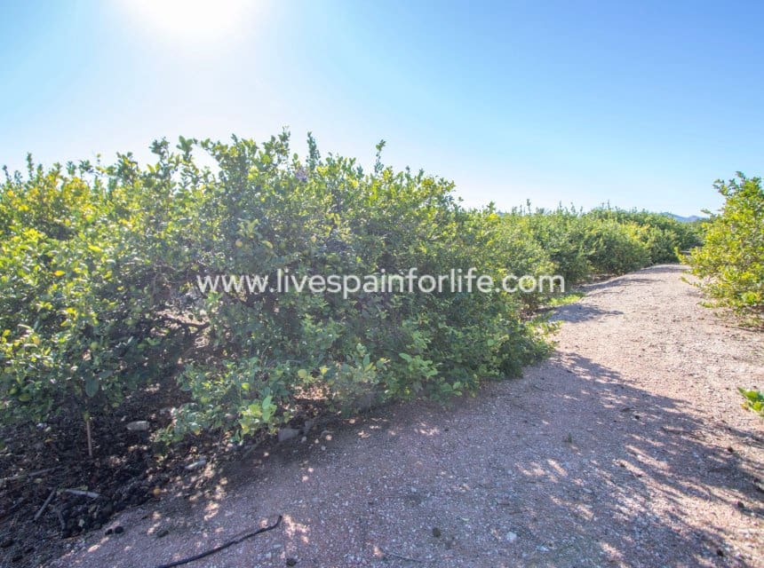 4 sypialnia Finka/Dom wiejski na sprzedaż w Miasto Alicante / Alacant z basenem garażem - 425 000 € (Ref: 10076792)