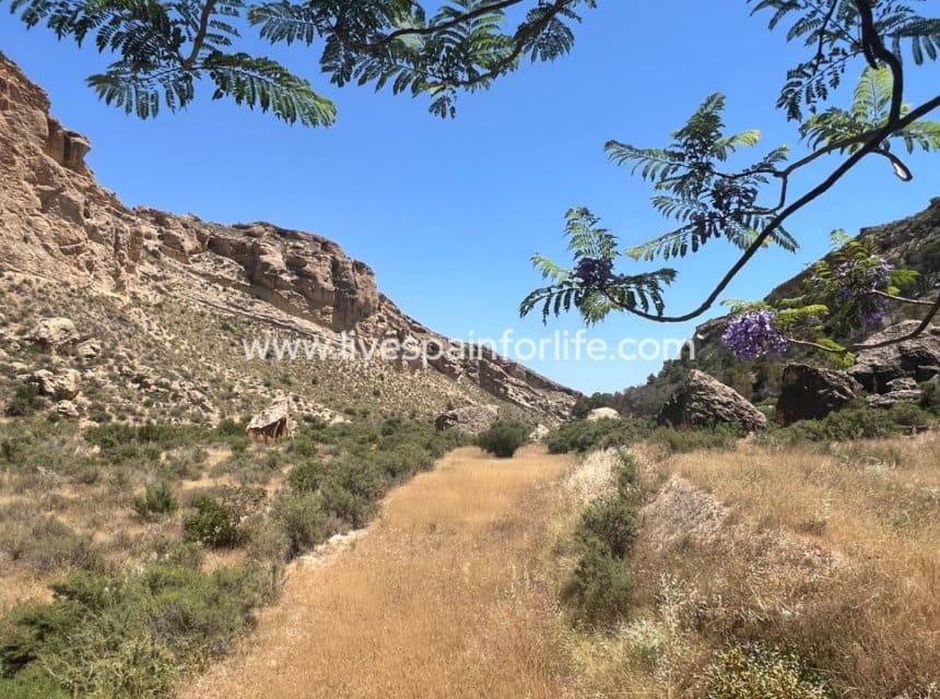 4 soverom Finca/Herregård til salgs i Crevillente / Crevillent med svømmebasseng - € 245 000 (Ref: 10076801)