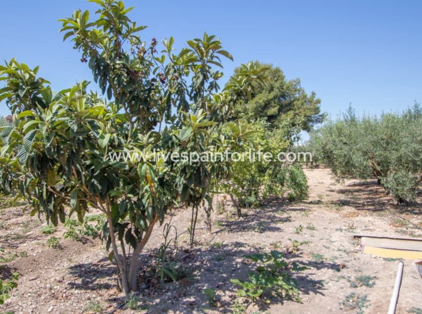 Finca/Casa Rural de 4 habitaciones en Albatera en venta con piscina garaje - 349.999 € (Ref: 10100498)